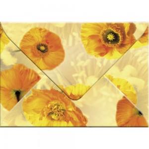 Transparentpapier-Kuverts "Flora" 115 g/qm Islandmohn - 5 Stück